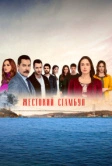 Жестокий Стамбул (2019)